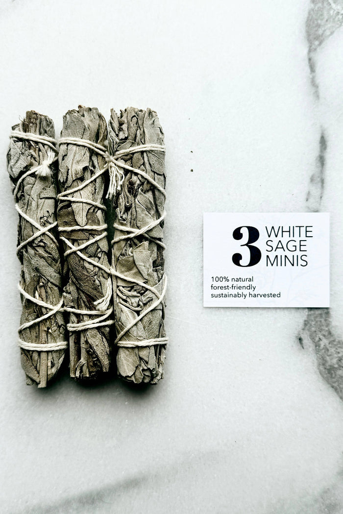 ESSENCE OF LIFE ORGANICS Minis Sauge Blanche (Ensemble de 3)