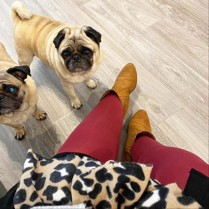 80 Denier Opaque Tights - Burgundy