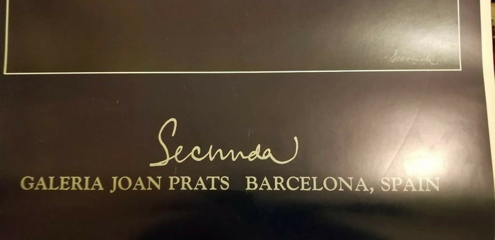 Arthur Secunda Litho Galeria Joan Prats Barcelona Published by Romme-Lande Int. - Diamonds Sapphires Rubies Emeralds