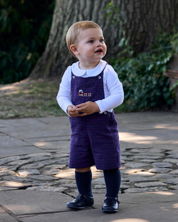 Chelsea Clothing Company Bib Shorts Baby Alfie Bib Shorts in Train