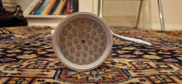Eastern Lighting Trade Show Hook-on Light