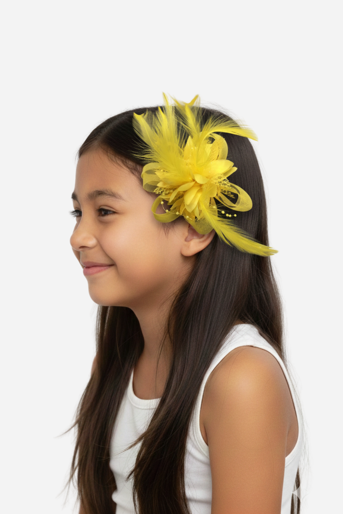 Hair Clips