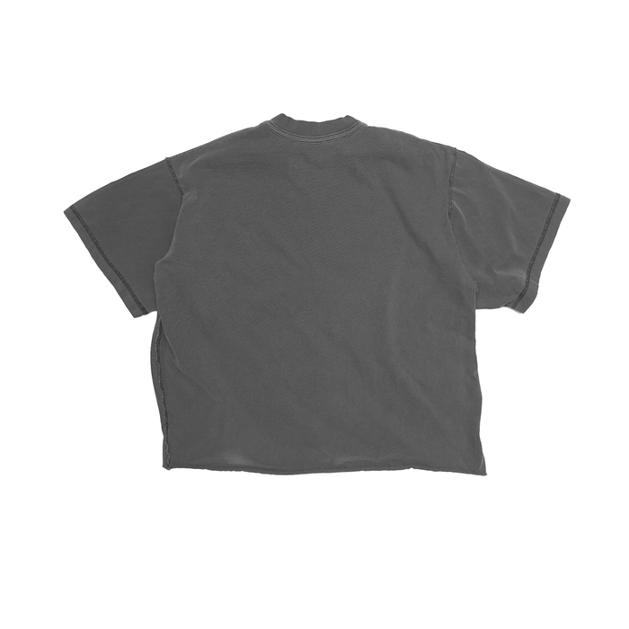 Sour Times Ash Tee (1of1 XS/S)