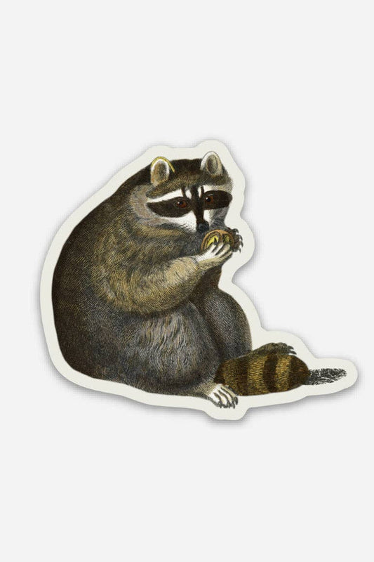 STAY HOME CLUB Autocollant Unbothered Raccoon